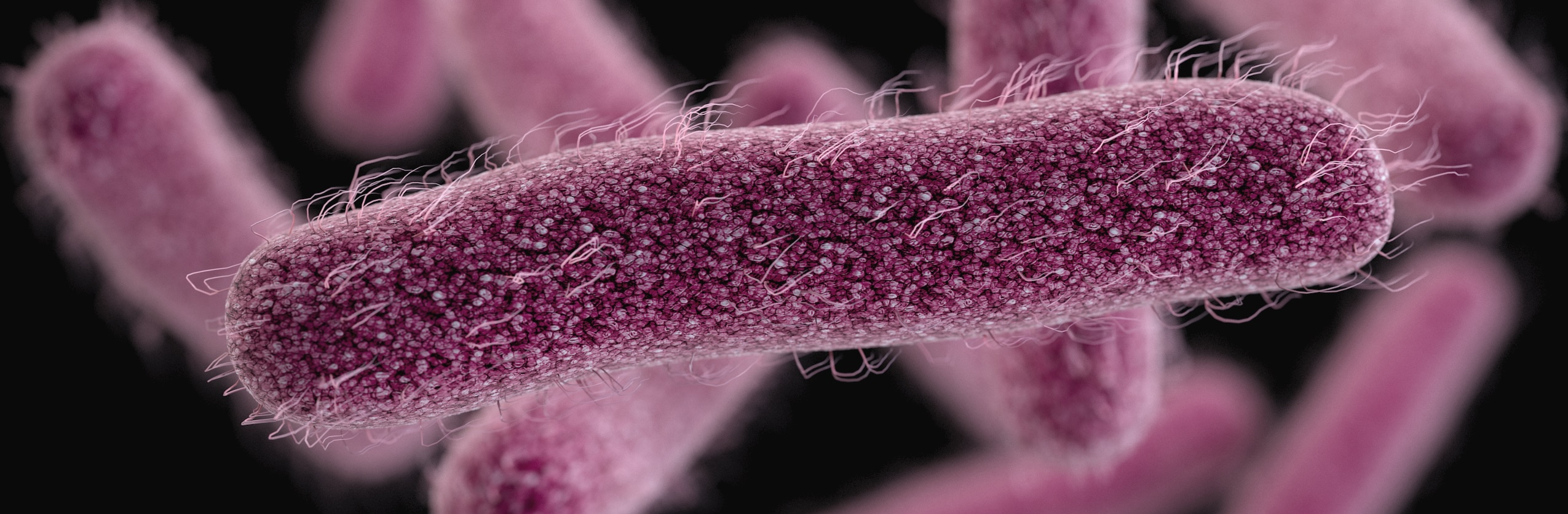 Genomic and functional analysis of rmp locus variants in Klebsiella pneumoniae
