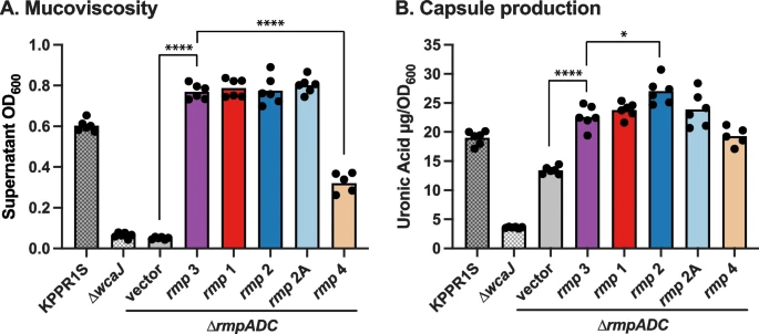 Rmp locus diversity and functionality in Klebsiella pneumoniae